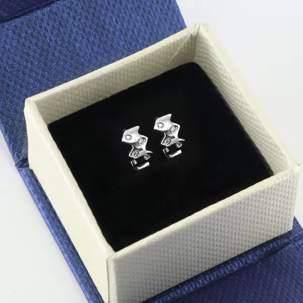 Náušnice 8019, stříbrné SER.8019