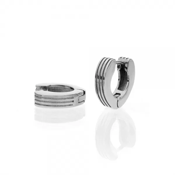 Náušnice 70019, stříbrné SER.70019.A